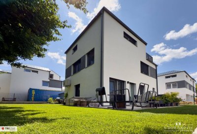 NEU! ++ ZIEGELMASSIV ++ BEZUGSFERTIG ++ 12 REIHENHÄUSER ++ 2 PKW-STELLPLÄTZE PRO HAUS ++ GARTEN &amp; TERRASSE ++ SCHLÜSSELFERTIG ++ FISCHAMEND ++