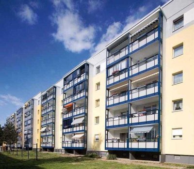 Wohnungsangebot Werner-Seelenbinder-Straße 5