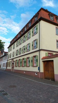 1,5-Raum-Dachgeschosswohnung mit Küchenzeile in Dieburg