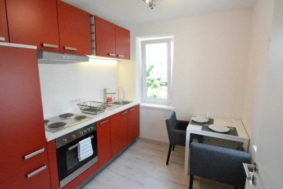 Helle 2 Zi. Whg, Nähe Universität(TUM), NEUFAHRN (S 1), vollständig möbliert/fully furnished