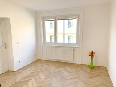ANLAGEOBJEKT: Wunderschöner, generalsanierter 2 Zimmer Altbau mitten im 3. Bezirk (vermietet bis 2027)