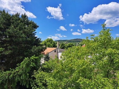 Suche Käufer der mich umfangreich adaptiert - Ich bin eine sehr gut aufgeteilte 3-ZI-WG, in Top-Badener-Stadtrandlage - herrlicher Grünblick - in thermisch saniertem Gebäude!