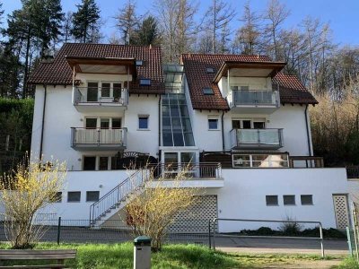 Schöne 2-Raum-Wohnung mit Terasse in Weinheim - provisionsfrei