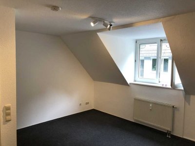 Modernisiertes 1-Zimmer-Apartment in Heidelberg-Ziegelhausen