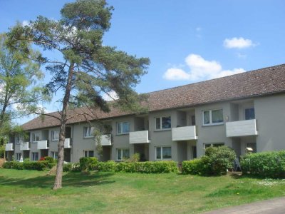 1 Zimmer - Erdgeschosswohnung mit Terrasse