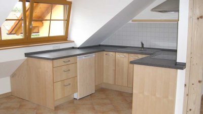 Großes 1-Zimmer Apartment in Eching / Günzenhausen mit Einbauküche