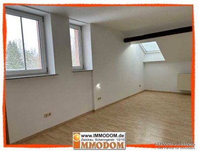 2-Zimmer-Wohnung im Dachgeschoss in Zwickau-Bockwa, architektonisch wertvolles Wohnhaus, zu vermiete