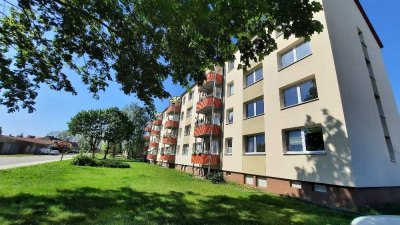 Wohnung für große Familie zu vermieten