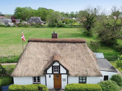 Ruheoase unter Reet