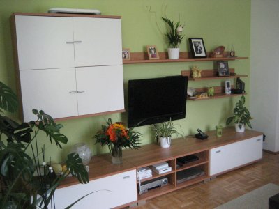 2-Zimmer Wohnung mit Loggia und Garage in Wels
