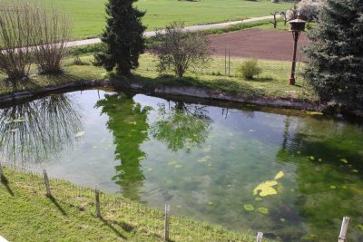 Landwirtschaftliche Hofstelle (ehem. Weingut) in idyllischer Lage im Landkreis Heilbronn