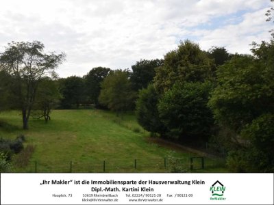 Großzügige 4 Zimmer-Wohnung mit Aussicht ins grüne Rheintal