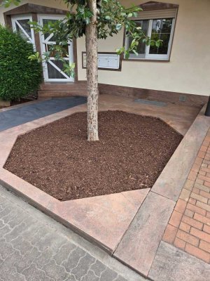 Helle 4-Zimmer-Wohnung in ruhiger Lage mit Balkon und optionaler Garage in Erlenbach / Mechenhard