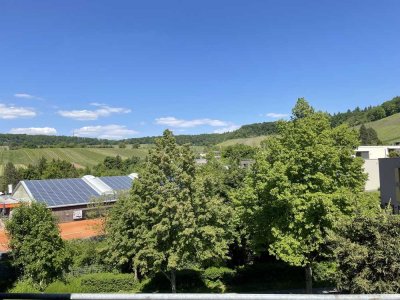 Exklusives Penthouse mit ELW in Bestlage - 3 Dachterrassen und traumhafter Ausblick in Heilbronn Ost