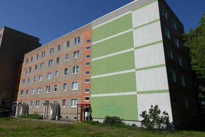 großzügige Wohnung im Stadtteil Sachsendorf