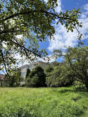 ruhige Wohnung mit herrlichem Ausblick, EBK in Lottstetten