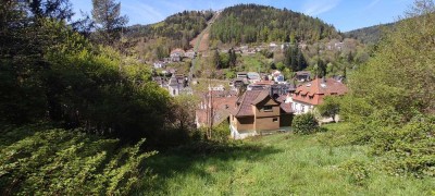 Mehrparteienhaus für Renovierer mit großem Garten von privat