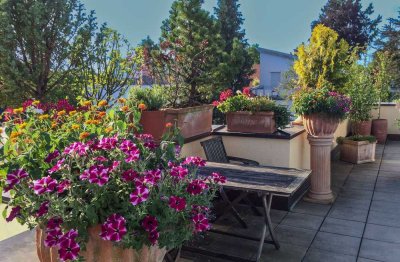 Licht, Luft und Lebensqualität – Ihre Wohnung mit Dachterrasse