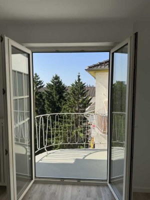 Frisch Sanierte 1-Zimmer-Wohnung mit Balkon in Mannheim - Lindenhof !
