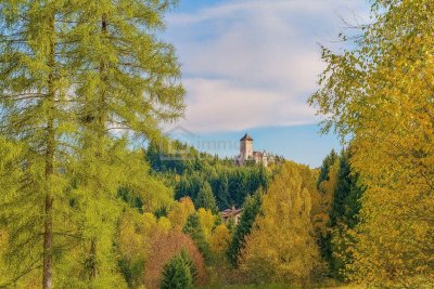 Zwischen Burgblick und Waldesruh – ein Zuhause mit Geschichte