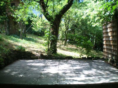 *Wohnen im Grünen am Hasenberg* nette 2 Zi.-Whg. mit Terrasse