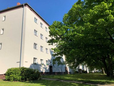 Stilvolle 2 Zimmer Wohnung im Herzen von Lankwitz