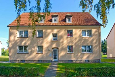 Ab dem 16.11 möglich 3-Zimmer-Wohnung in Steinheim