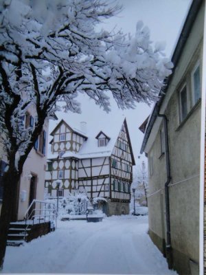 Stadthaus mit Flair mitten in Lauda