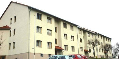 Gallspach X MK - Whg. Nr. II/1/4 + TG 15