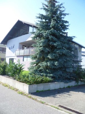 Glücksgriff: Wunderschöne Lichtdurchflutete Wohnung in Königsbach-Stein