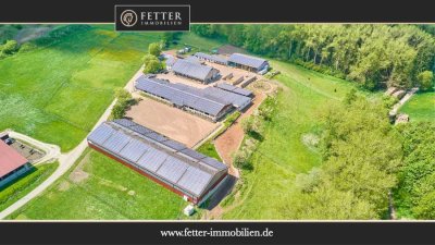 Reitanlage bei Villingen-Schwenningen mit zwei Reithallen & ländlicher Wohnidylle!