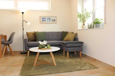 Stilvolle möblierte 2-Raum-EG-Wohnung mit gehobener Innenausstattung in Bad Schönborn