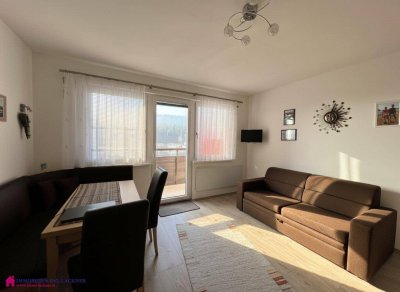 Ferienwohnsitz - Ihr Appartement in perfektem Zustand in herrlicher Lage von Bad Mitterndorf