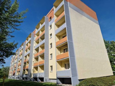 Große neu sanierte 3 - Raumwohnung mit Balkon, Am Spotpark 14 verfügbar ab 02.26!!
