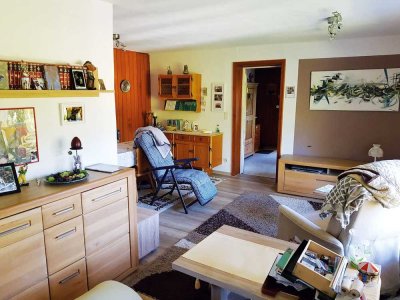 Schöne und gepflegte 2-Raum-Souterrain-Wohnung mit Terrasse und EBK in Schonach