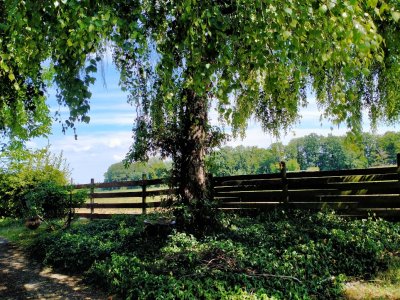 Freistehendes Einfamilienfertighaus in traumhaft schöner und sehr ruhiger Lage in Winnenden Breuningsweiler mit großem Garten und sehr schöner Aussicht.