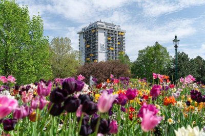 Traumlage - Serviced Apartment am Kurpark Oberlaa - auch als Büro nutzbar