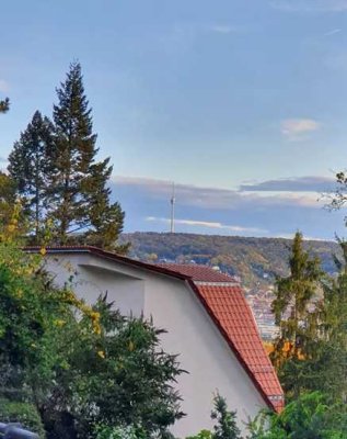 Halbhöhenlage Nähe Bismarckturm: Stilvoll, gepflegte 3-Zimmer-Wohnung mit gehobener Innenausstattung