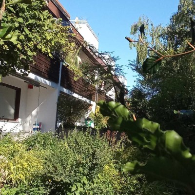 3-Zimmerwohnung mit großer Südterrasse und eigenem Garten in Großhadern