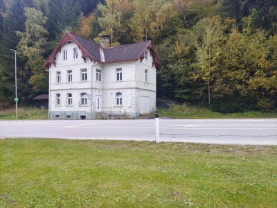 Projekt Lebens(t)raum – Sanierungsabenteuer mit Potenzial in Waldrandlage nahe Skigebiet