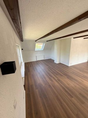 Renovierte 3-Zimmer-Wohnung mit Balkon und Küche in Bestlage von Wiesbaden-Bierstadt