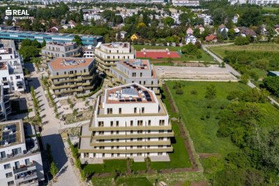 Hirschfeld - Ihr neues Zuhause im Grünen - anfragen, besichtigen, einziehen - 41 bis 96 m²