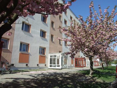 3 Raum-Wohnung mit verglastem Balkon