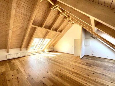 +++Neuwertiges 3 ZKB Dachgeschoss - Studio Appartment+++