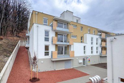 ERSTBEZUG: Wohnen mit Ausblick in Altlengbach