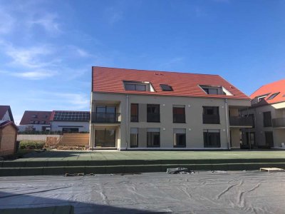 Klasse statt Masse -  3-Zi-Gartenwohnung (EG - Terrasse und Garten 183qm), SHA-Bibersfeld