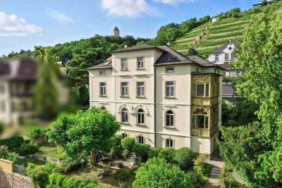 Rarität in Radebeul: 2-Zimmer-Wohnung in Weinberglage