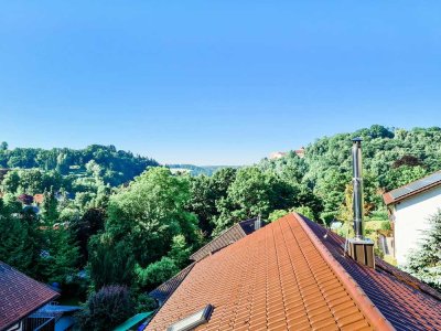 Helle Dachgeschosswohnung mit Blick aufs Oberhaus – 3 Zimmer, EBK, Fußbodenheizung – ab 01.03. frei