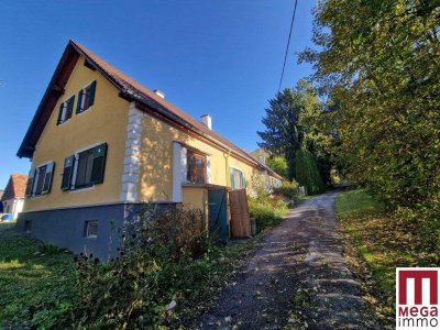 Sonnige Landidylle nahe Sinabelkirchen - Ein Haus voller Möglichkeiten