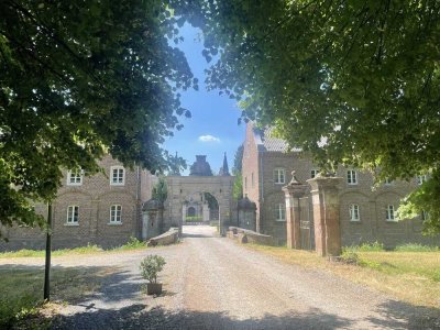 Sie lieben das Ausgefallene?